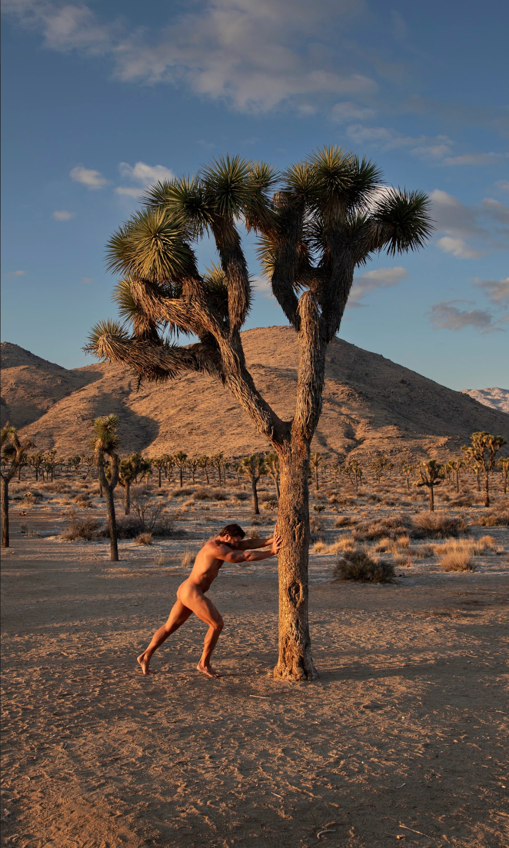 The Desert Doesn’t Move