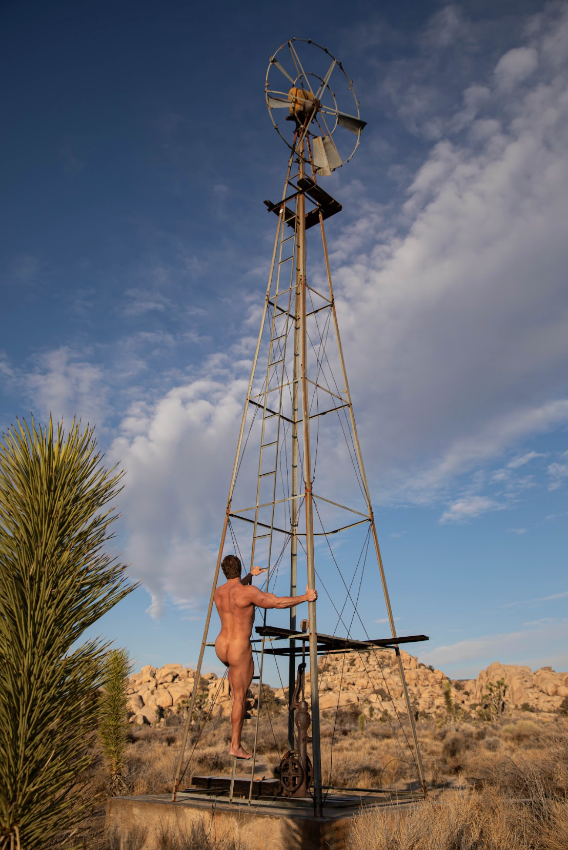 The Tower and the Body