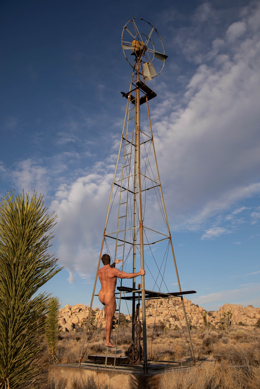 The Tower and the Body